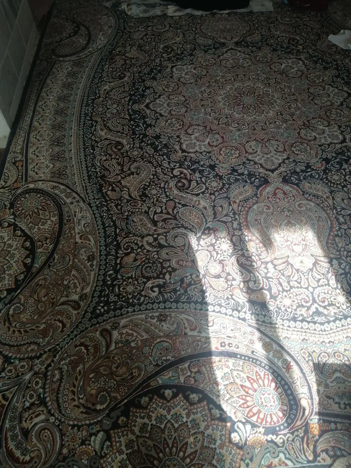 قالی 12متری|فرش|شیروان (خراسان), |دیوار