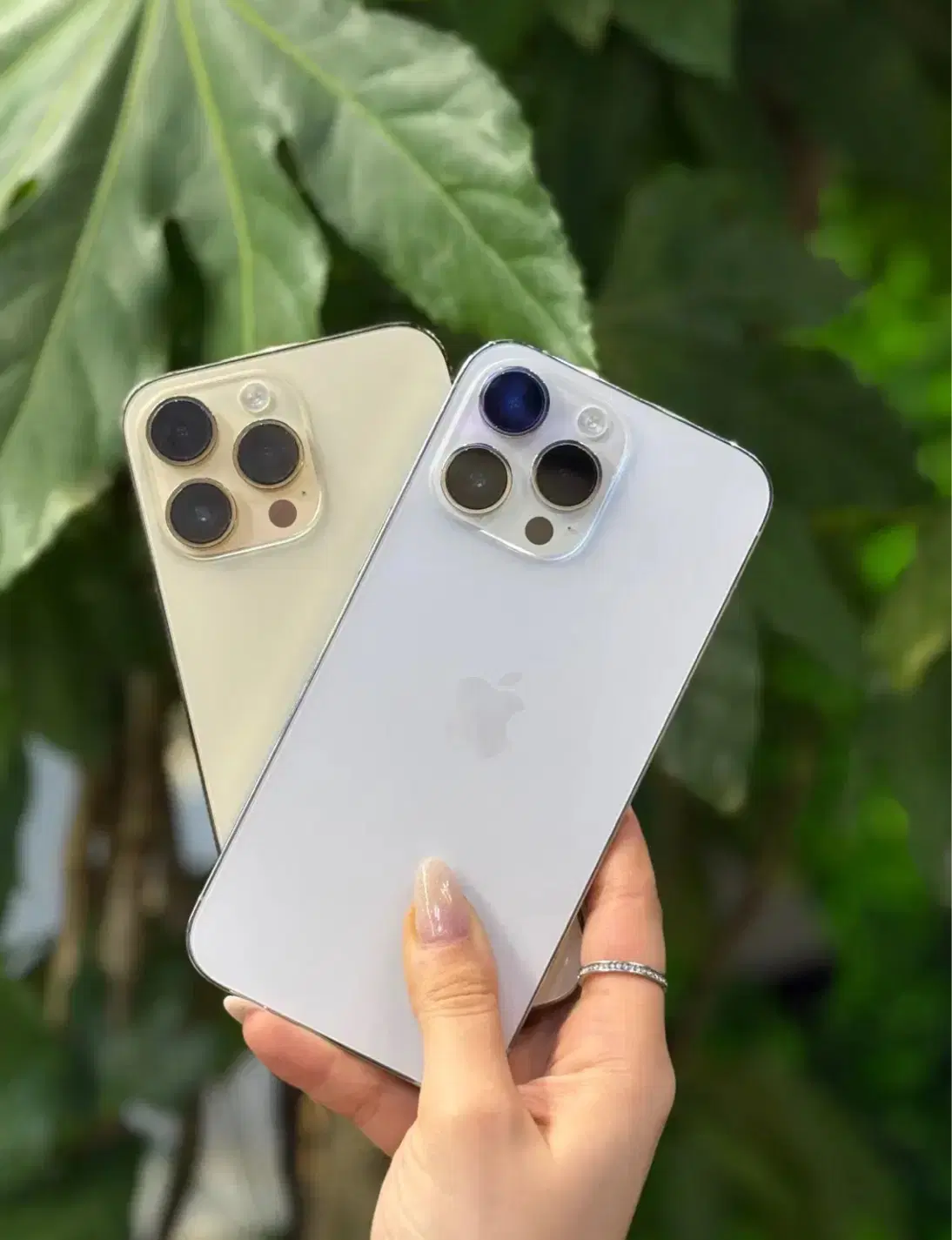 فروش اقساط 16pro max|موبایل|تهران, شهرک پردیسان|دیوار