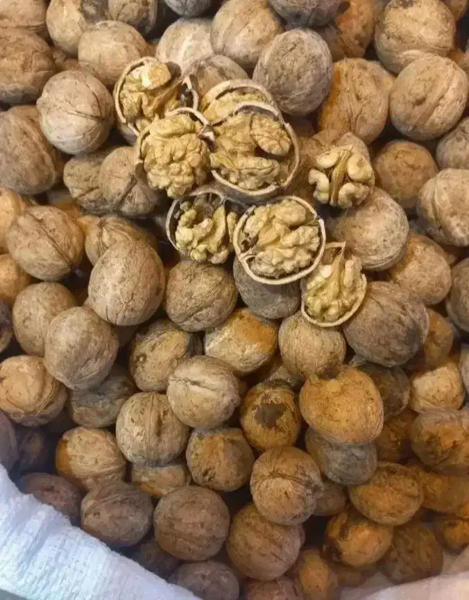 عسل انجیر گردو بادام آلو (مغز گردو) عمده و جزئی|خوردنی و آشامیدنی|مشهد, بلال|دیوار