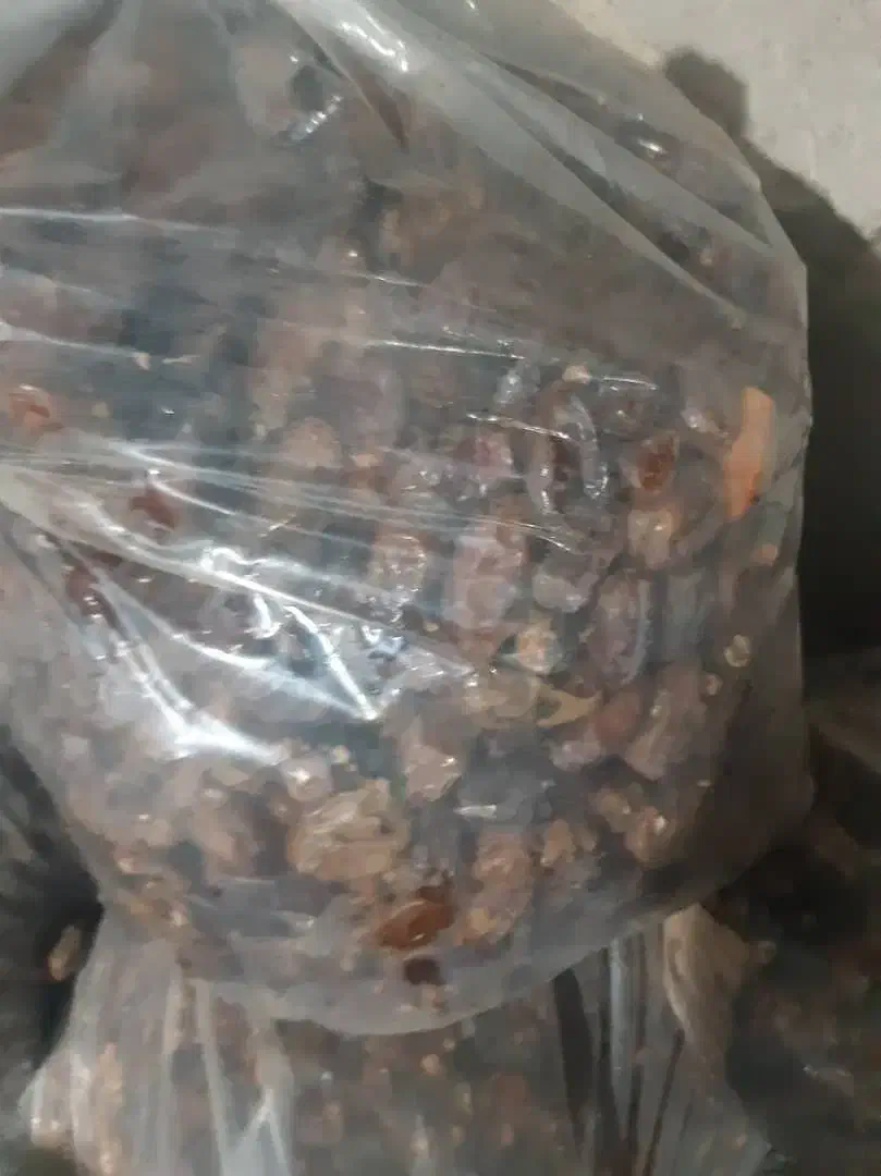 خرما ضایعات خرما|عمدهفروشی|لار, |دیوار