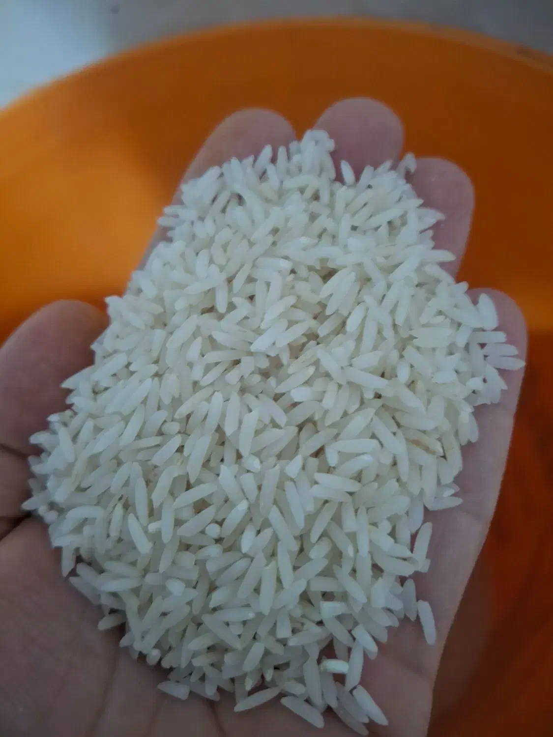 برنج دم سیاه صدری درجه یک|خوردنی و آشامیدنی|گلستان (تهران), |دیوار
