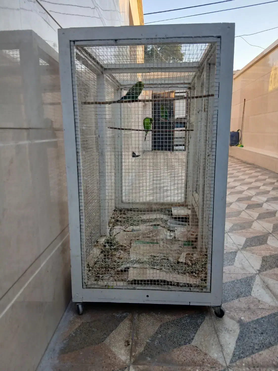 قفس|لوازم جانبی حیوانات|بوشهر, |دیوار