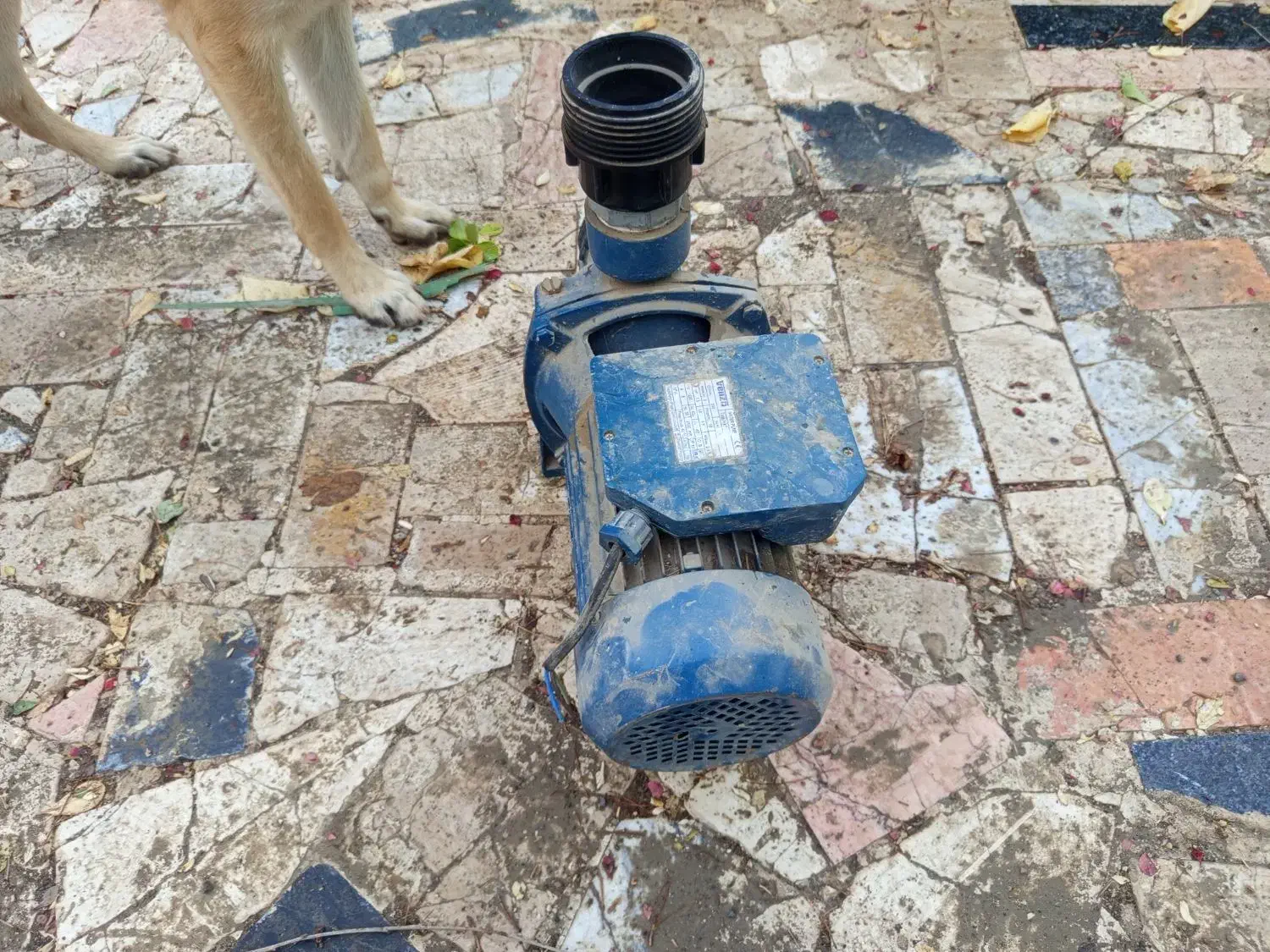 پمپ|ابزارآلات|شاندیز, |دیوار