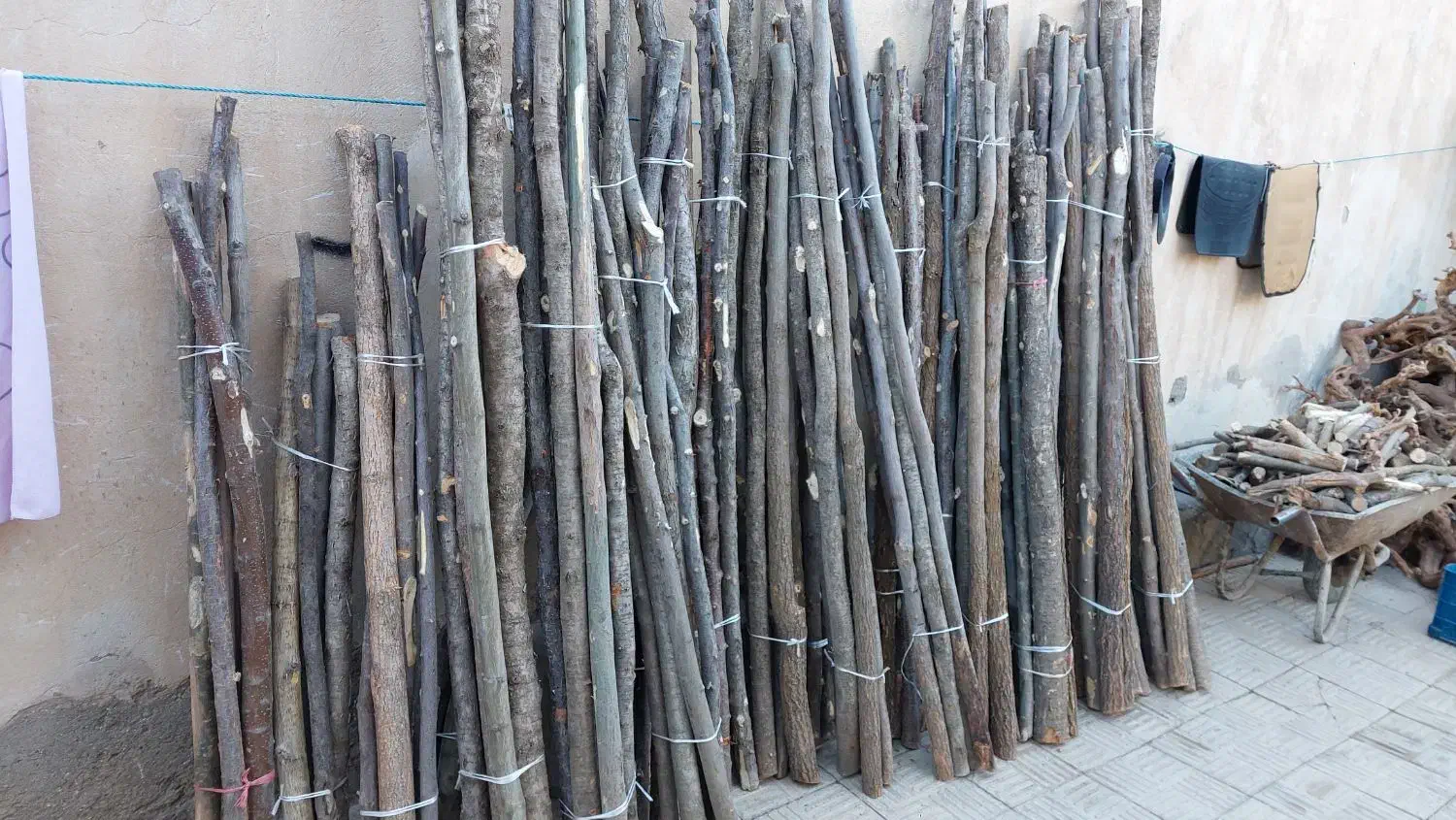 چوب|عمدهفروشی|تهران, تسلیحات|دیوار