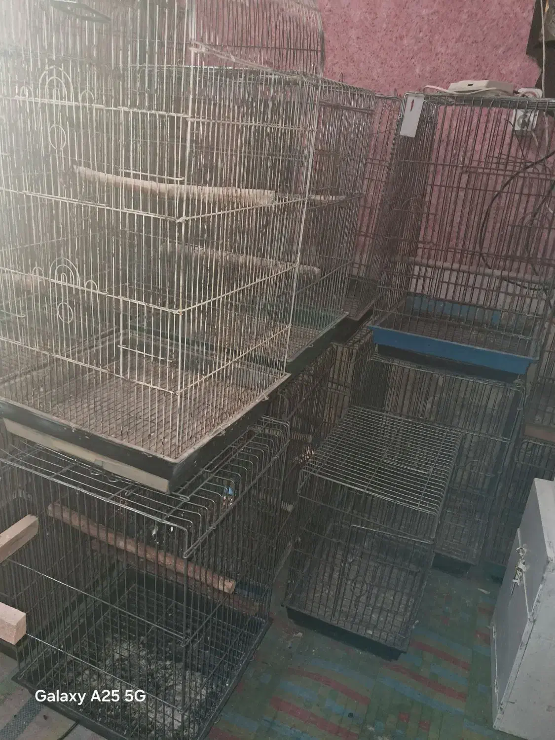 تعدادی قفس پرنده دست دوم|لوازم جانبی حیوانات|رشت, گلسار|دیوار