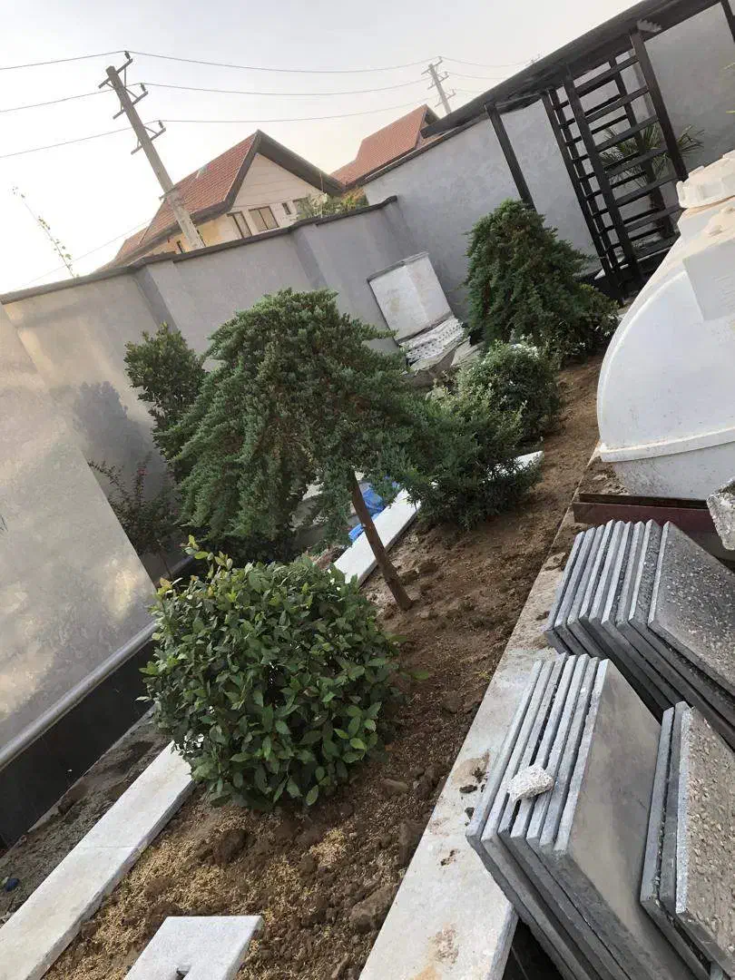 باغبانی تعویض گلدان در کرج چهارباغ مهرشهر کیانمهر|خدمات باغبانی و درختکاری|چهارباغ, |دیوار