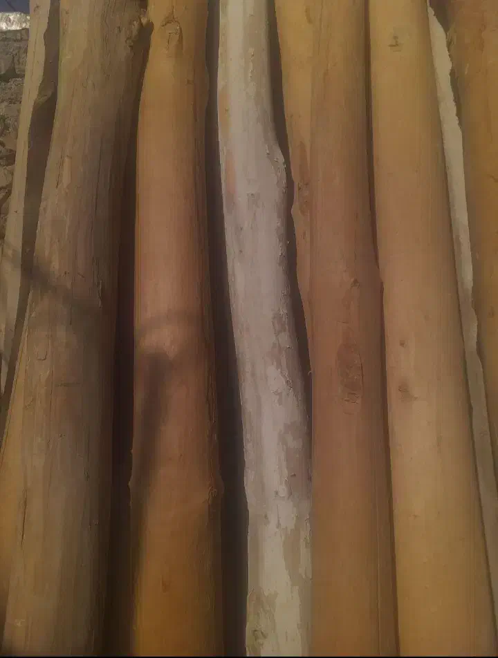 خرید چوب سقفی فروش تخته کار با قیمت مناسب|خدمات پیشه و مهارت|نیشابور, شهرک اندیشه|دیوار