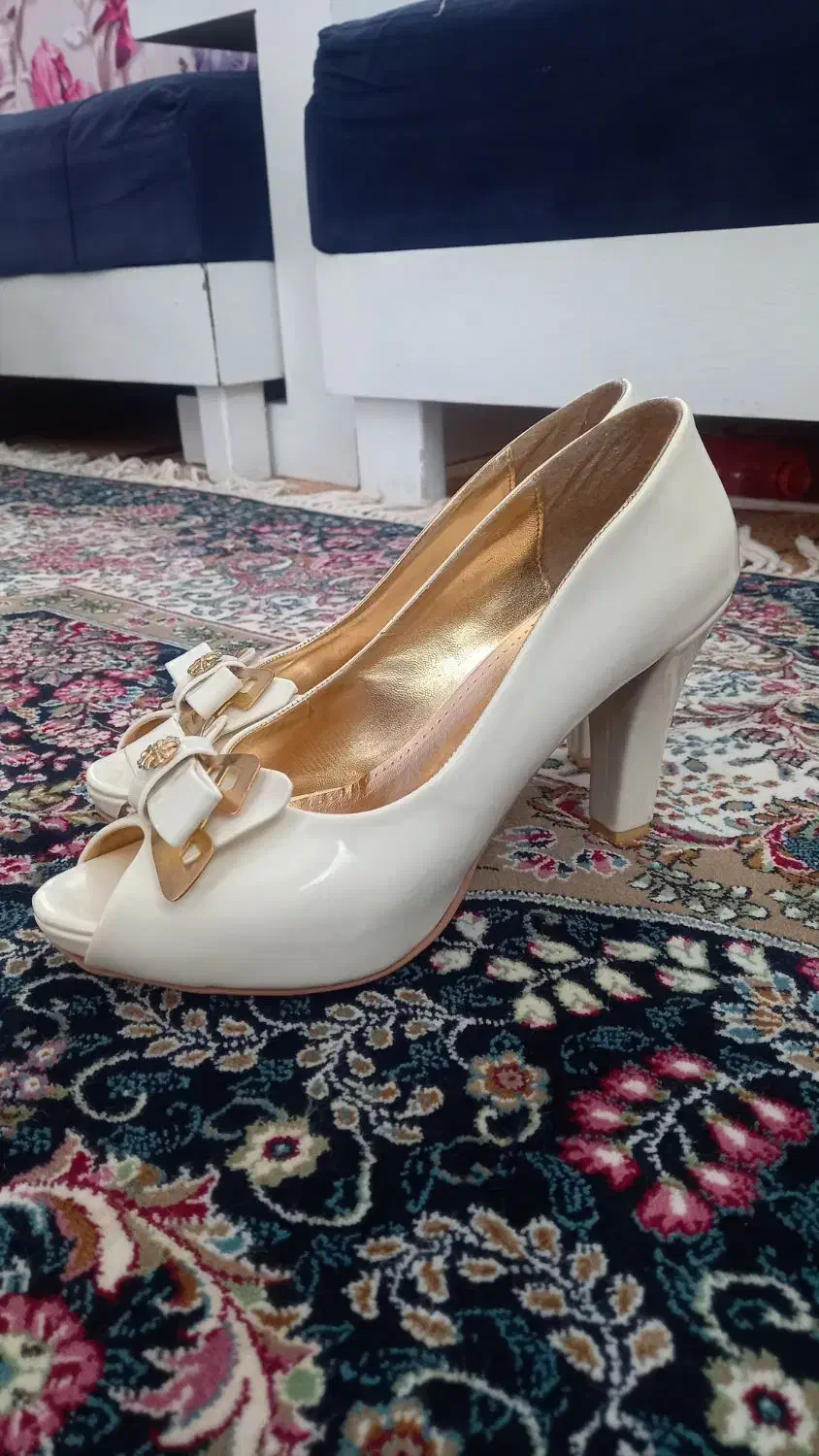 کفش مجلسی|کیف، کفش، کمربند|قروه, |دیوار