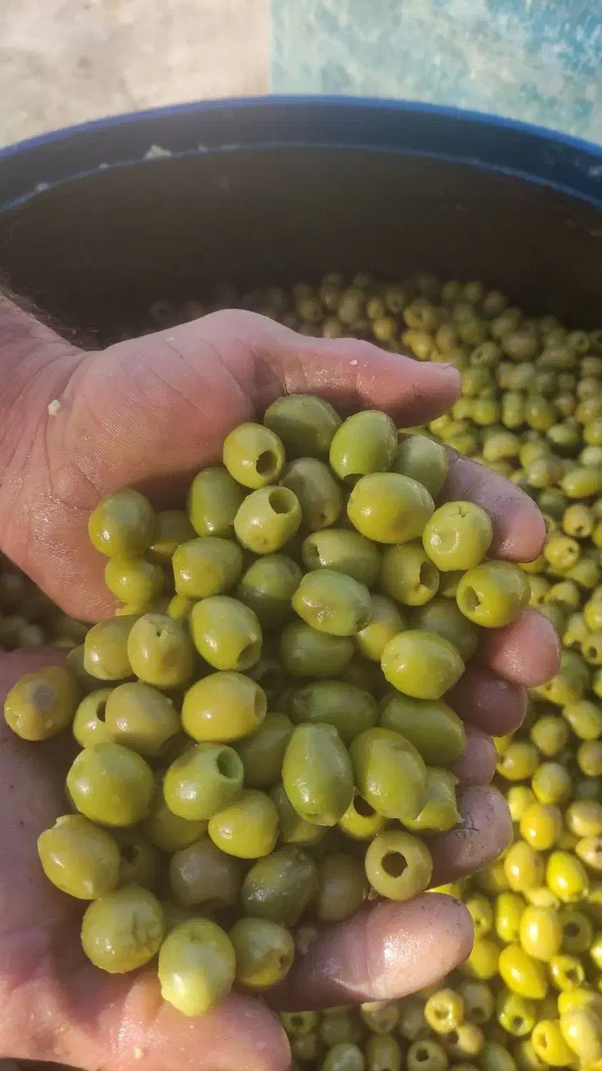 زیتون|خوردنی و آشامیدنی|رشت, آزادگان|دیوار