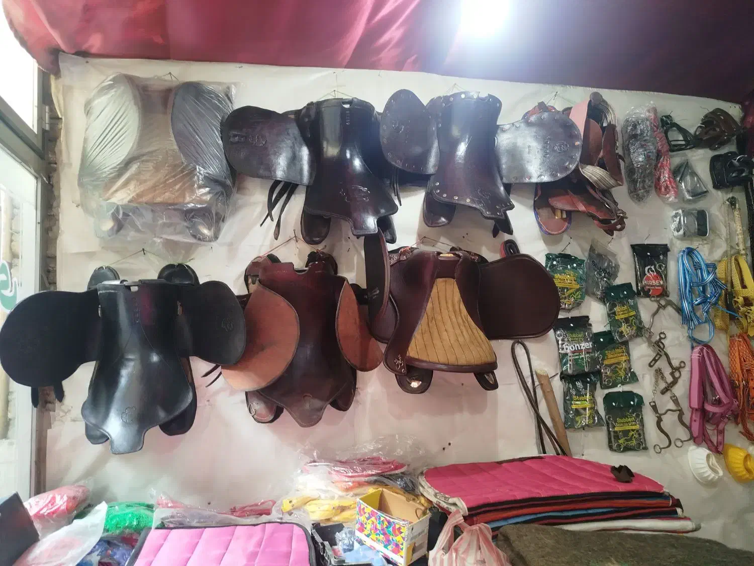 فروشگاه لوازم اسب و سوارکاری|اسب و تجهیزات اسبسواری|گرمی, |دیوار