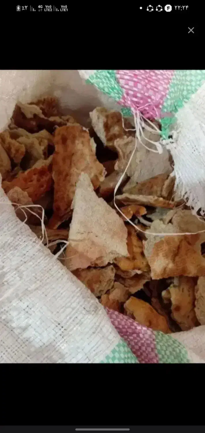 نان خشک|لوازم جانبی حیوانات|نیمروز, |دیوار