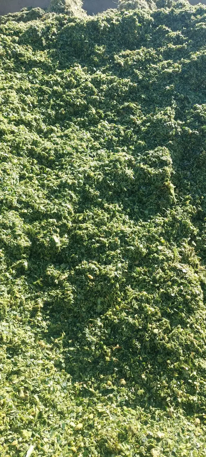 ذرت علوفه دامی کیلو ۴۵۰۰|عمده‌فروشی|هلالی, |دیوار