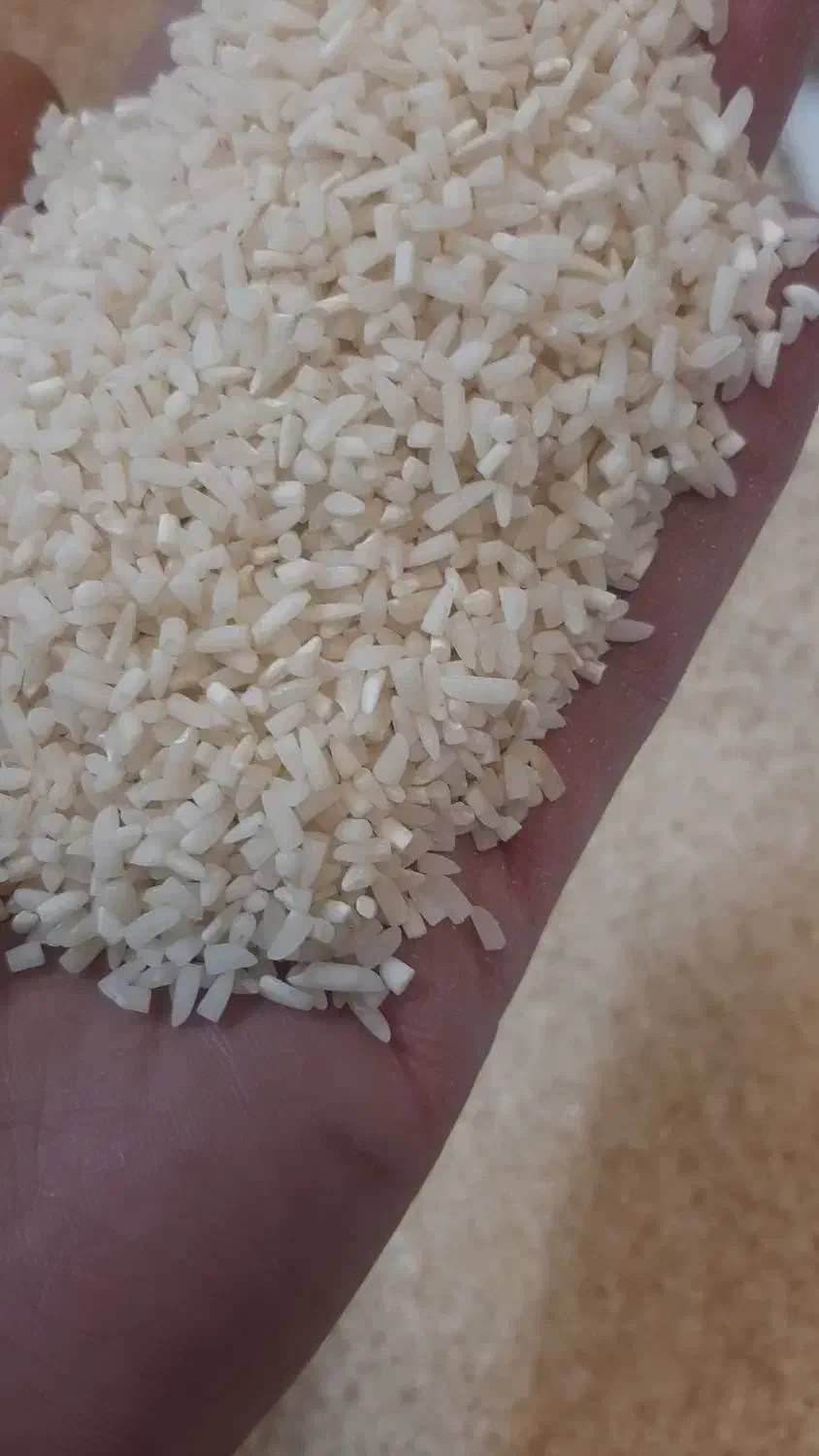 انواع برنج ایرانی و هندی|خوردنی و آشامیدنی|محمدشهر, ولدآباد|دیوار