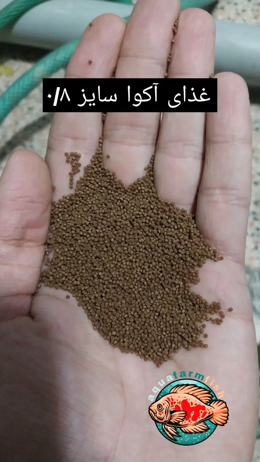 غذا و دارو و ویتامین عمده برای ماهیان|ماهی|کرمانشاه, |دیوار