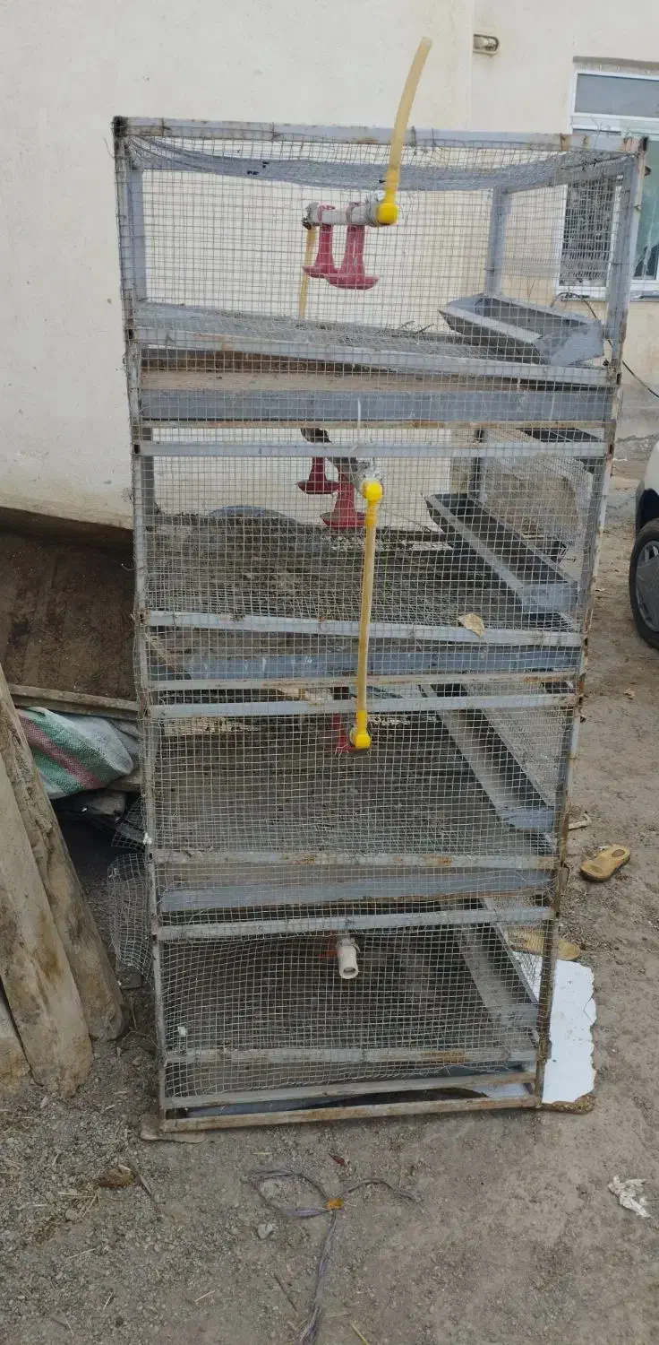 قفس|لوازم جانبی حیوانات|سرعین, |دیوار