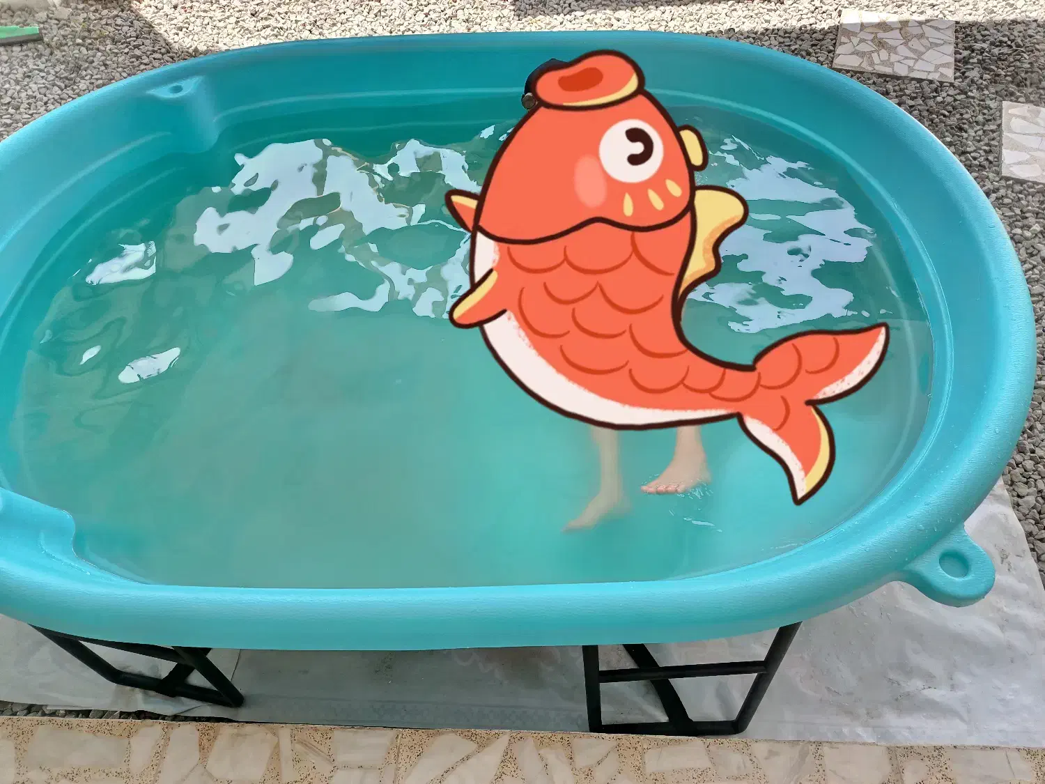 استخر کودک|اسباب‌بازی بچه|بابلسر, |دیوار