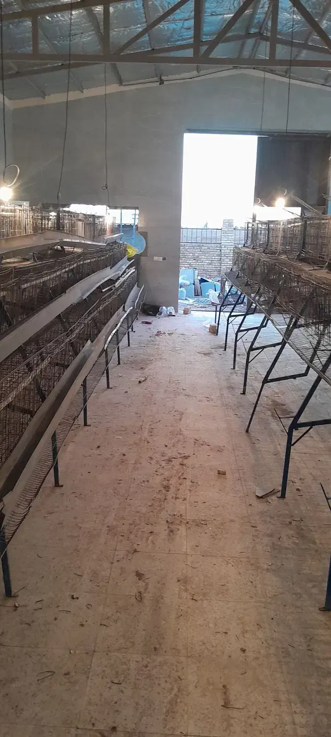 قفس مرغ تخم گذار|لوازم جانبی حیوانات|شهریار, کهنز|دیوار