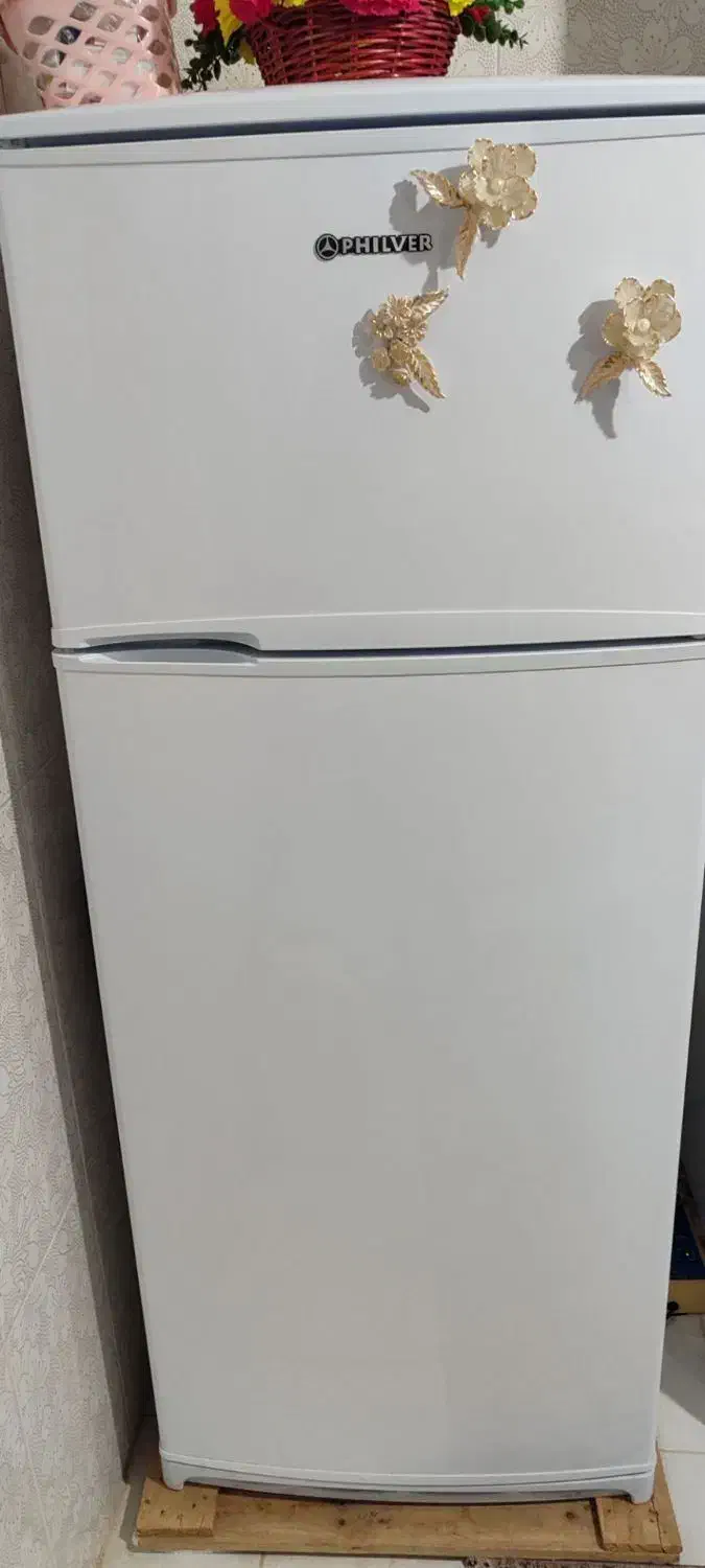 یخچال|یخچال و فریزر|سربیشه, |دیوار