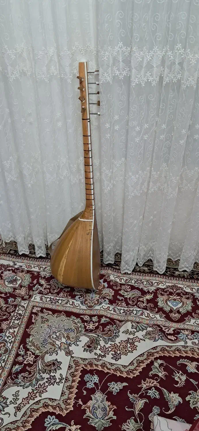 ساز چگر|سازهای سنتی|همدان, |دیوار