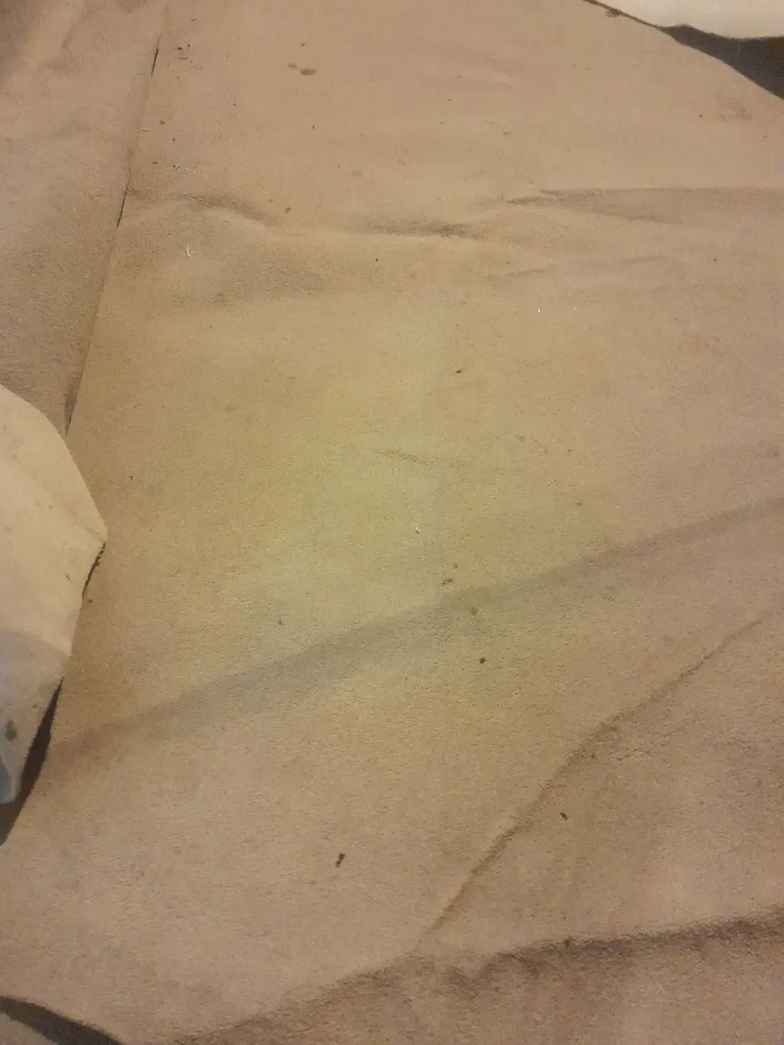 موکت|موکت|مشهد, کوشک مهدی|دیوار