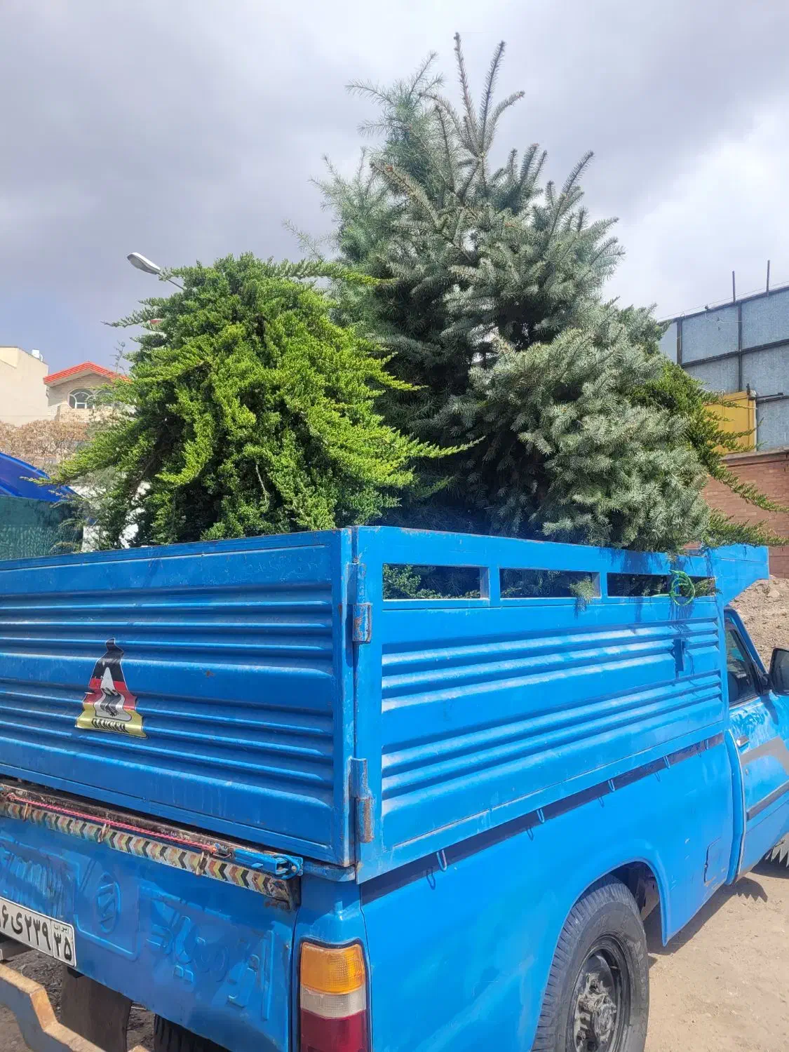 باربری خدمات حمل و نقل نیسان کاملا کف صاف|خدمات حمل و نقل|تبریز, |دیوار