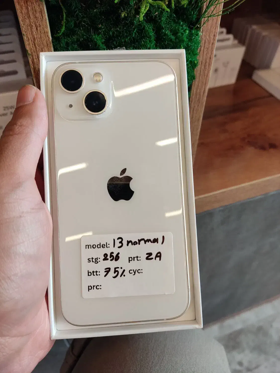 اپل iPhone 13 با حافظهٔ ۲۵۶ گیگابایت|موبایل|شیراز, قدوسی غربی|دیوار