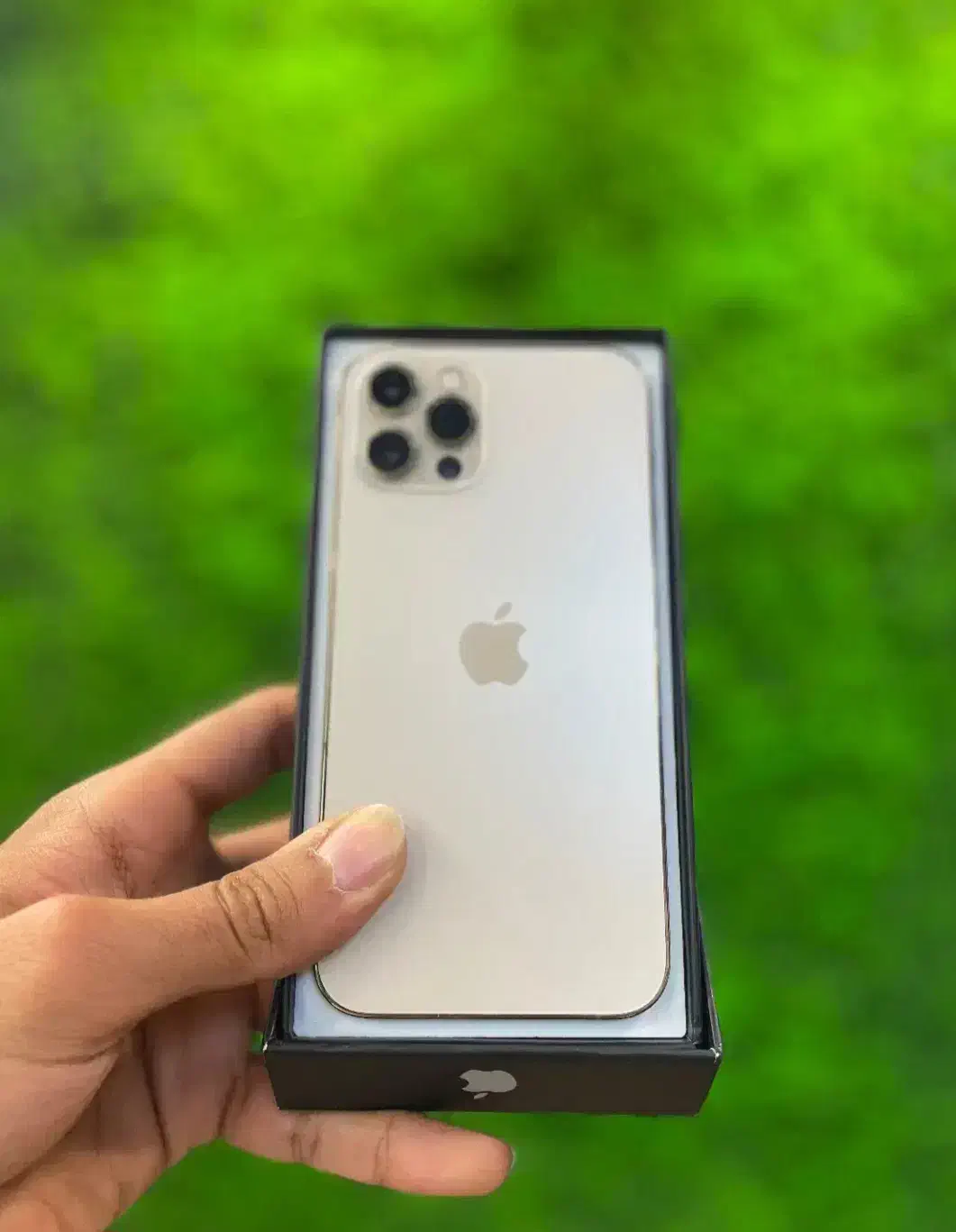 آیفون 12 پرو گلد 256|موبایل|مشهد, احمدآباد|دیوار