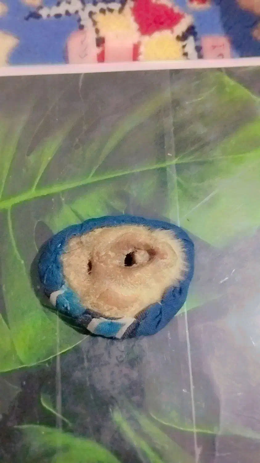 زیورالات قدیمی|بدلیجات|زاهدان, |دیوار