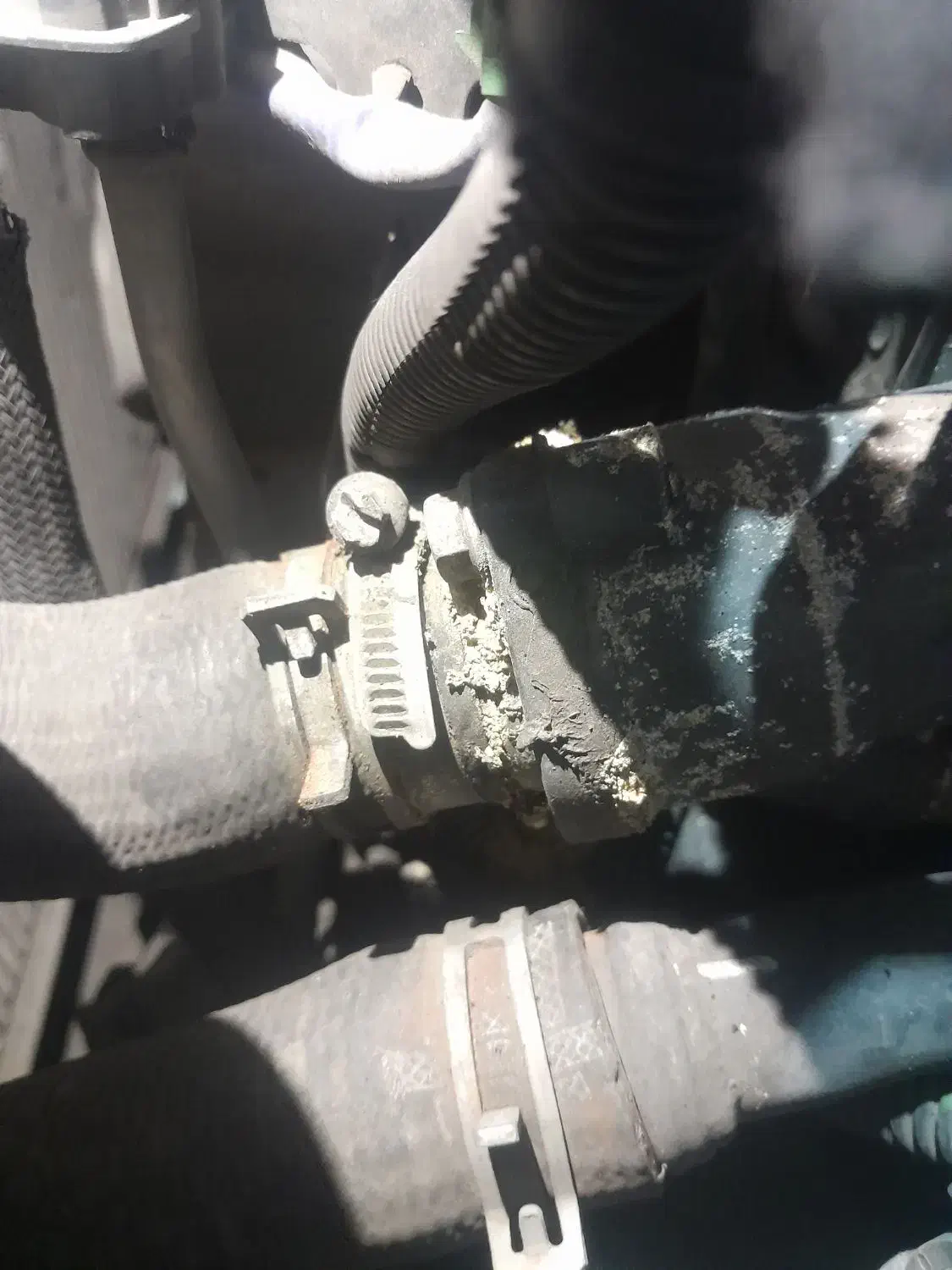 مکانیک خودرو|خدمات موتور و ماشین|رشت, دیلمان|دیوار