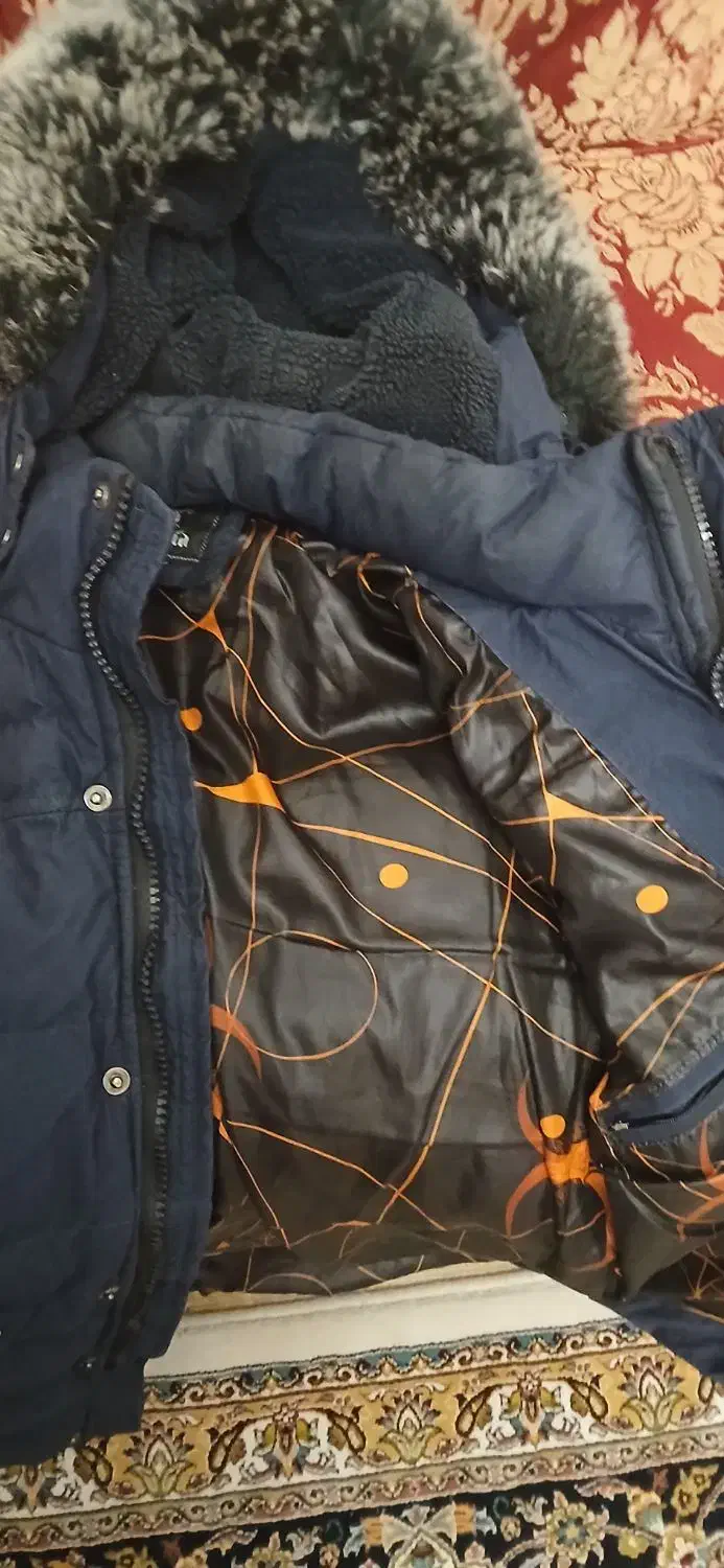 کاپشن مردانه|لباس|رودهن, |دیوار