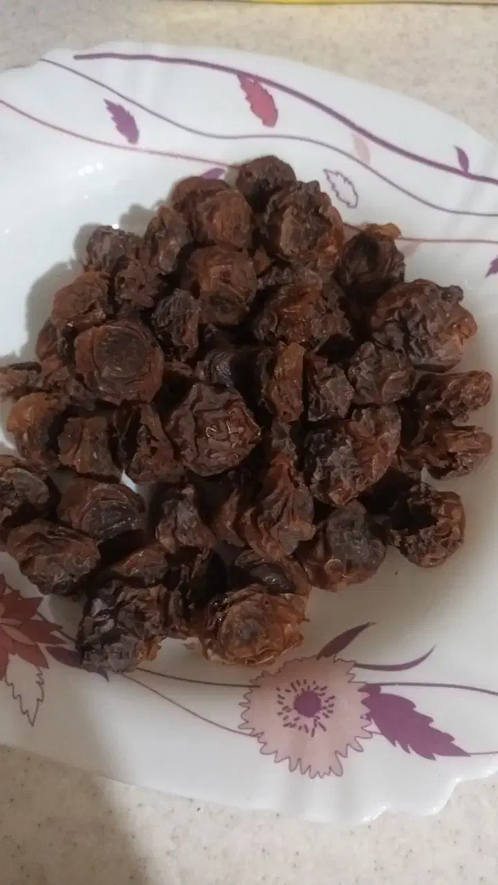 خشکبار رایان|خوردنی و آشامیدنی|مشهد, جانباز|دیوار