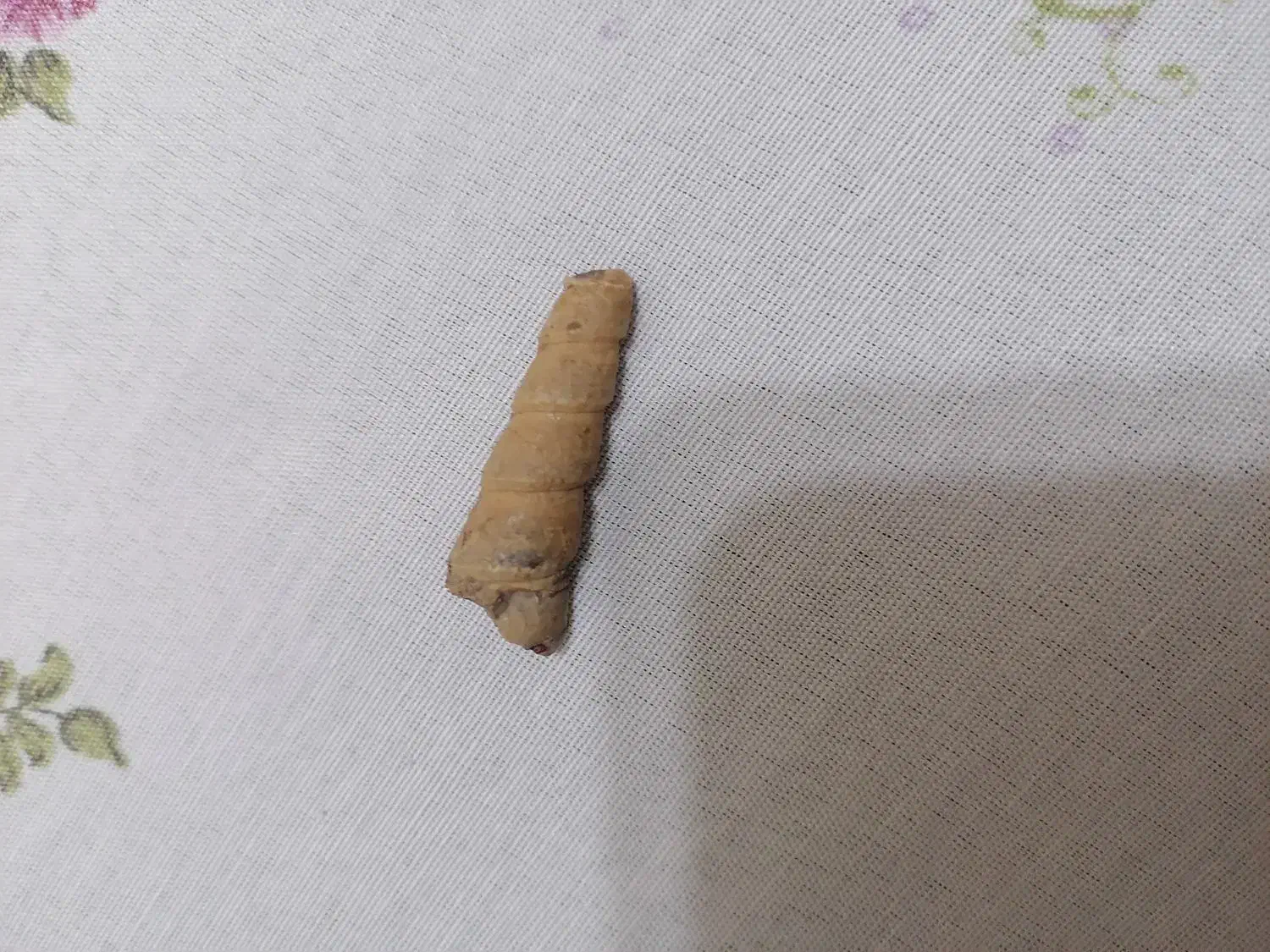 انگشتر|جواهرات|شهرکرد, |دیوار