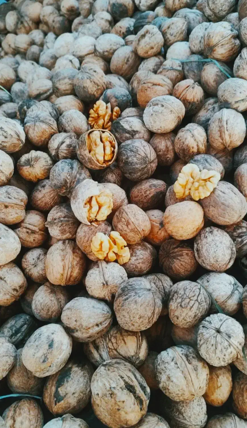 گردو مغزپرسفیدنورآباد|خوردنی و آشامیدنی|خاوه, |دیوار