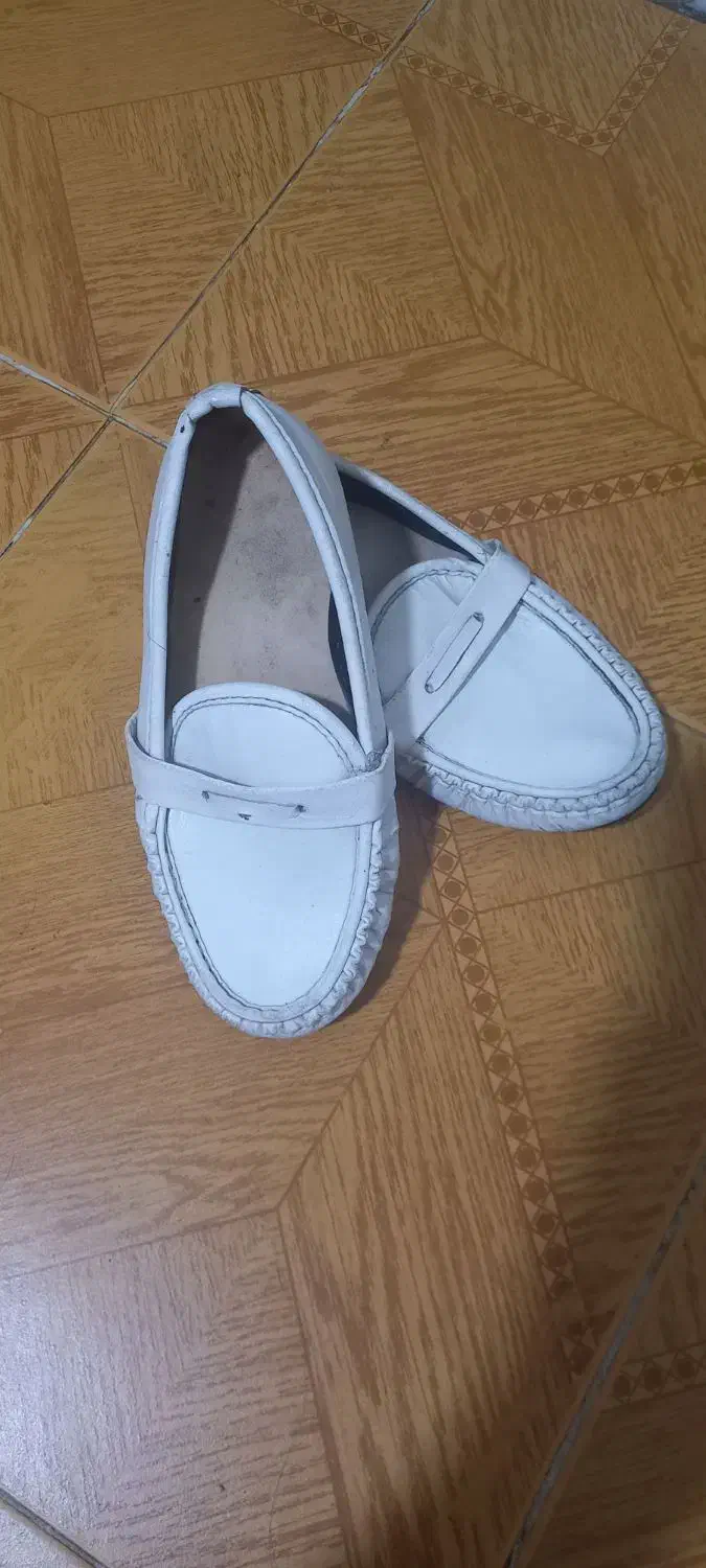 کالج|کیف، کفش، کمربند|رشت, معلم|دیوار