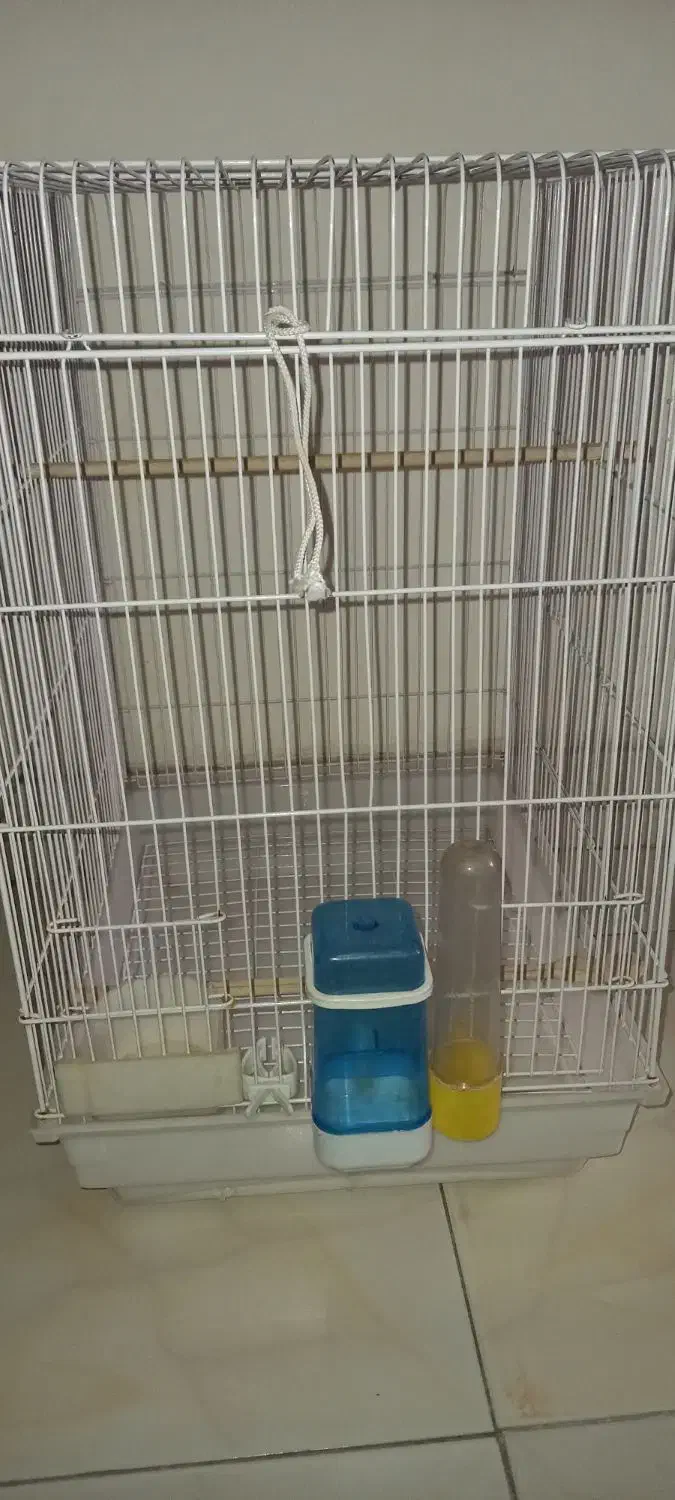 قفس پرنده|لوازم جانبی حیوانات|کرج, برغان|دیوار