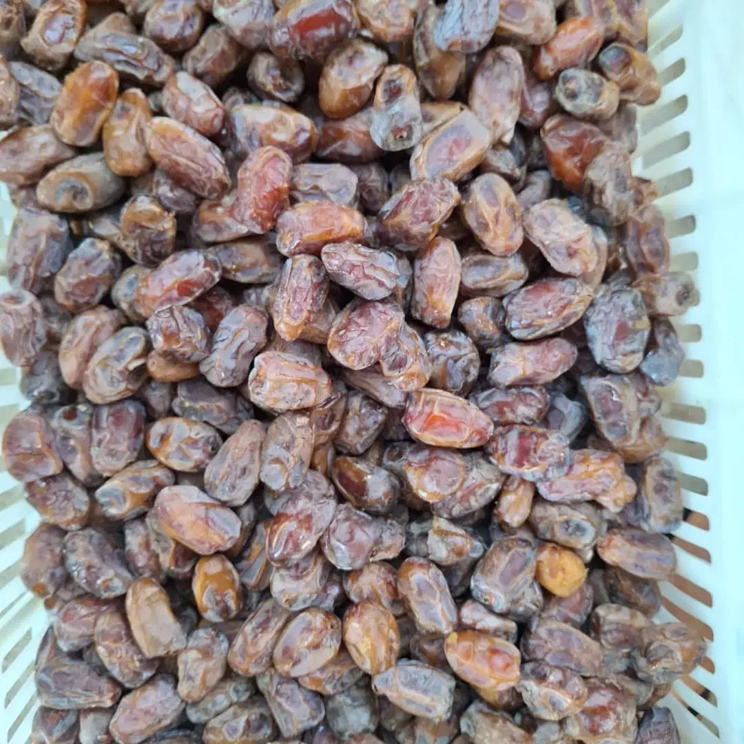 خرمای کبکاب درجه یک فله و بسته بندی|خوردنی و آشامیدنی|شیراز, بازار|دیوار