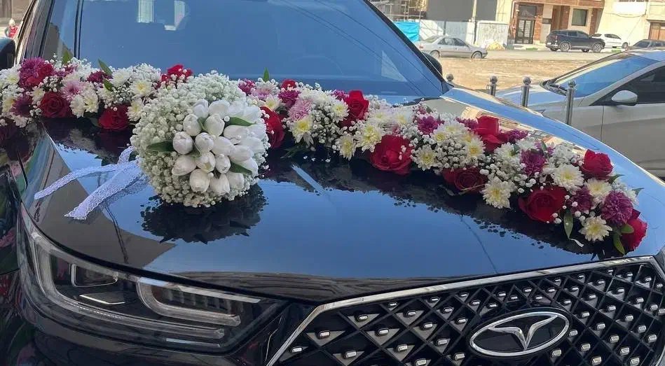 بک گراند بله برون وتالاروماشین عروس و دسته گل عروس|خدمات پذیرایی، مراسم|قم, آذر (نکویی)|دیوار