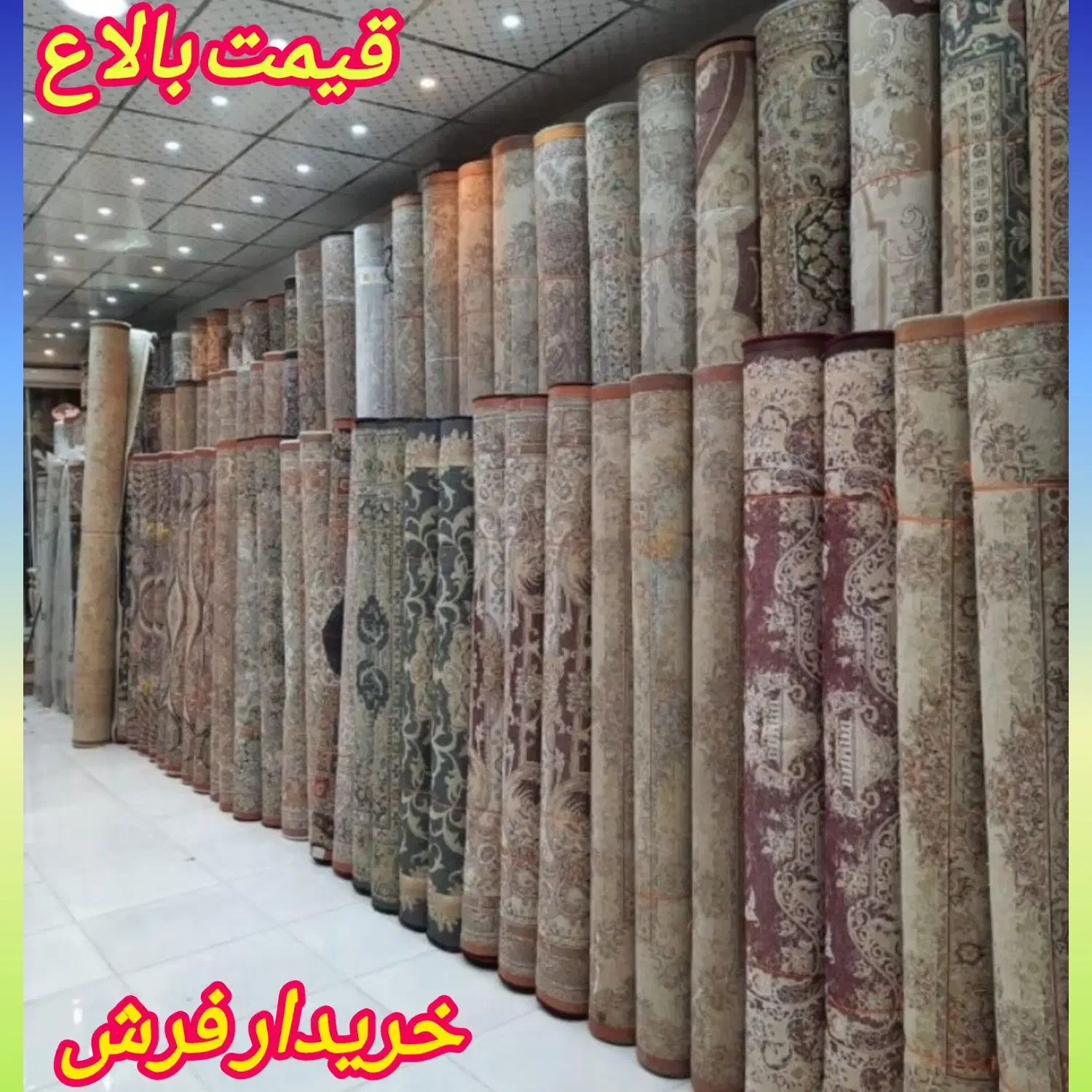 فروش و خریدار فرش۷۰۰. ۱۰۰۰.۱۲۰۰ سمساری قدیمی جدید|فرش|نسیم‌شهر, |دیوار