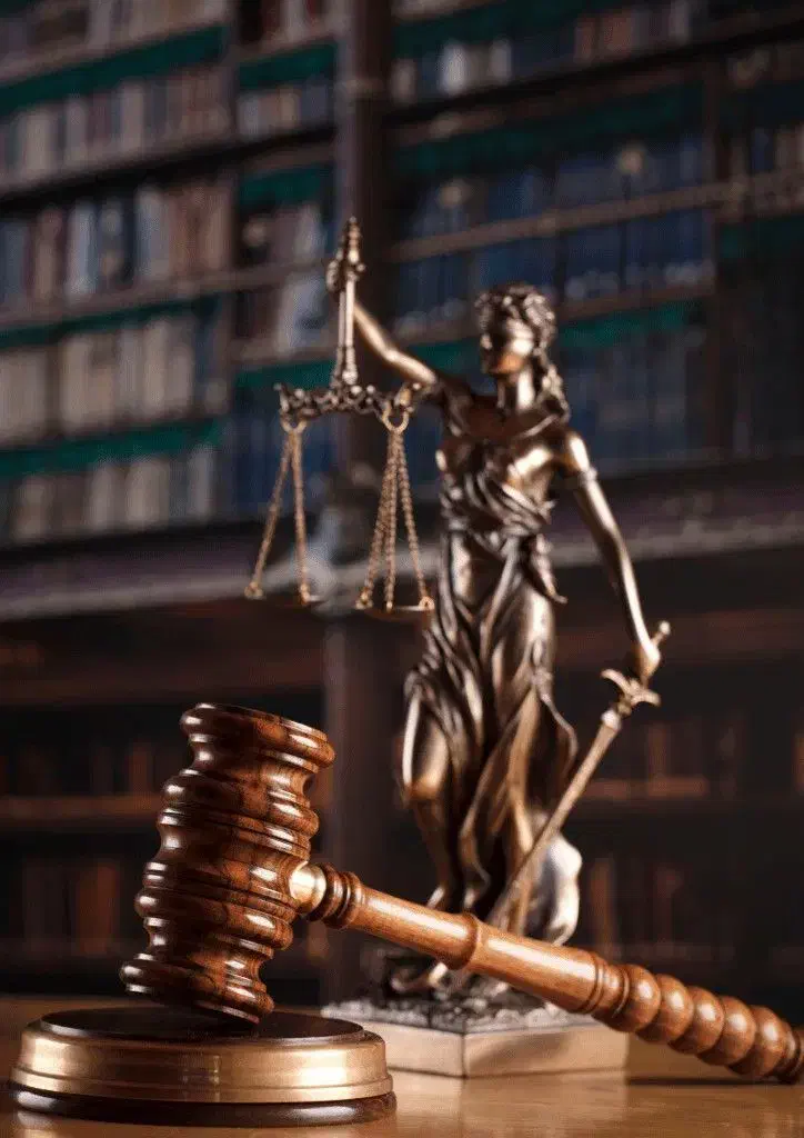 وکیل پایه یک دادگستری|خدمات مالی، حسابداری، بیمه|مشهد, شاهد (شهرک غرب)|دیوار