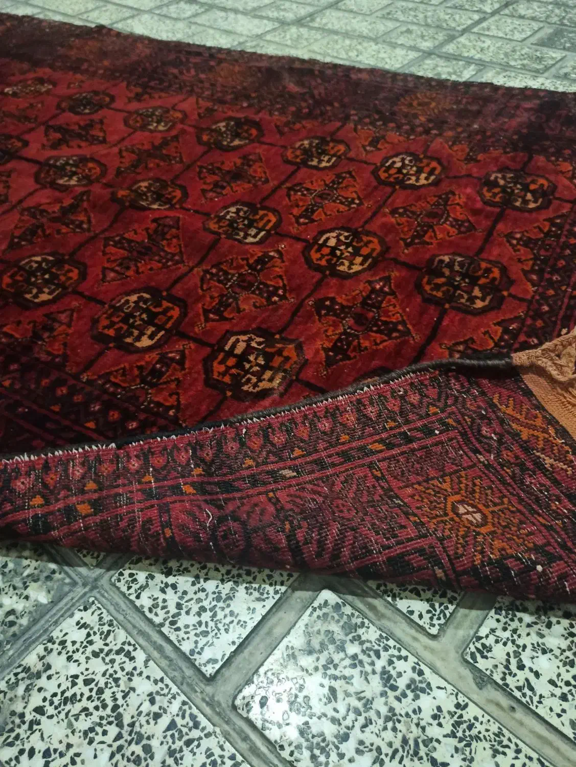 فرش دستباف تر تمیز|فرش|رباط‌کریم, رباط‌کریم|دیوار