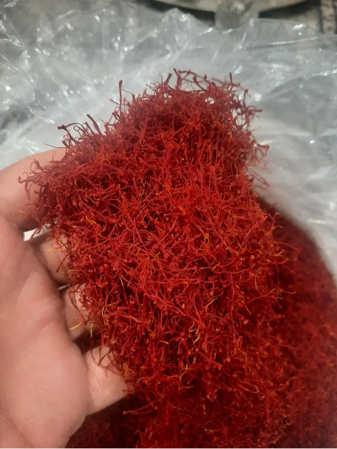 زعفران . زعفران اصل خراسان|خوردنی و آشامیدنی|رباطکریم, رباطکریم|دیوار