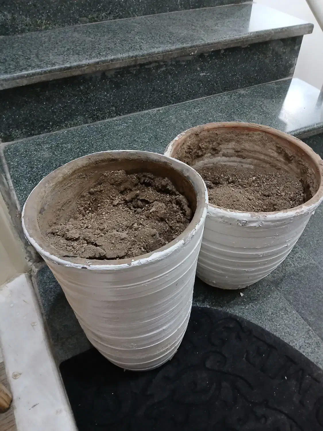 گلدان|گل و گیاه طبیعی|اصفهان, شاهزاده ابراهیم|دیوار