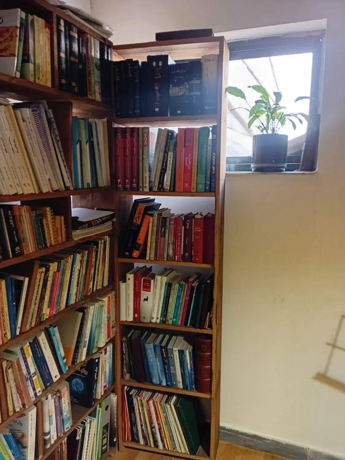 کتابخانه|کتابخانه، شلف، قفسه‌های دیواری|رشت, پستک|دیوار