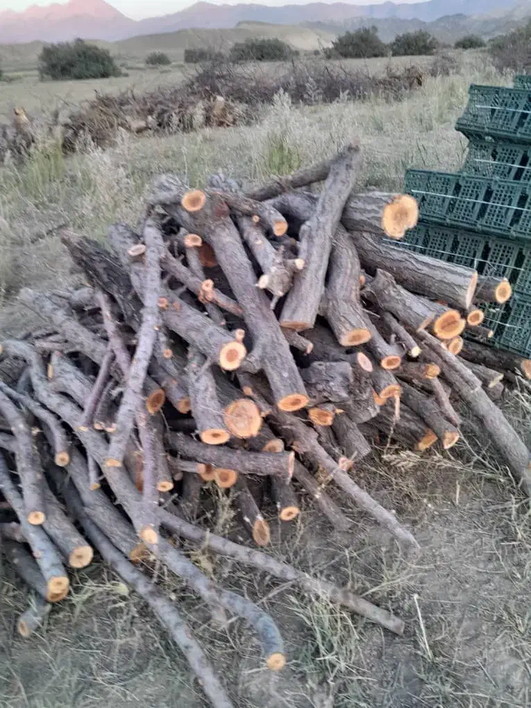 چوب سیب|خدمات باغبانی و درختکاری|دماوند, دماوند|دیوار