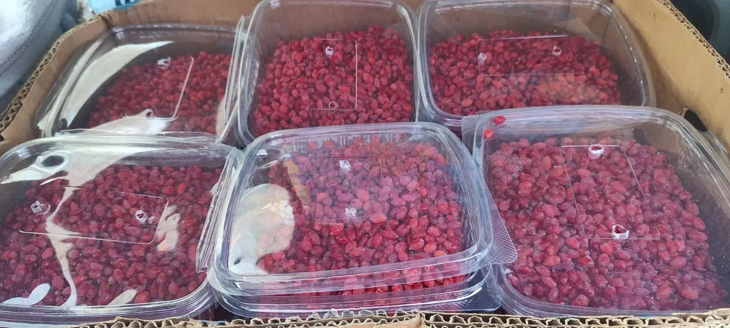 زرشک تازه/تحویل در افسریه/تسویه بعد از تحویل|خوردنی و آشامیدنی|تهران, قصر فیروزه ۲|دیوار
