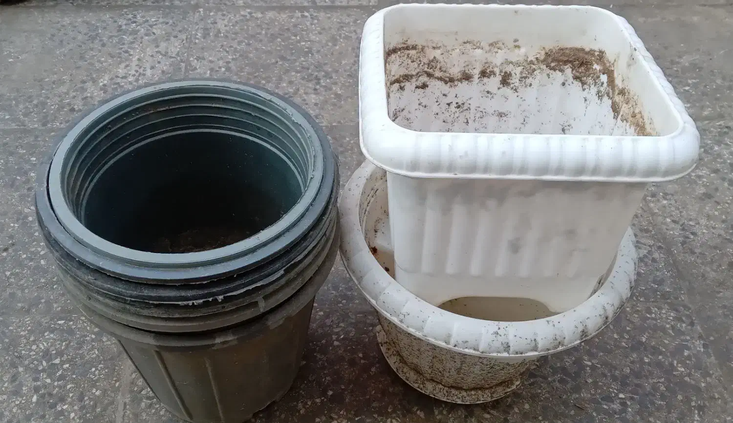 تعدادی گلدان کارکرده سالم|گل و گیاه طبیعی|رودسر, |دیوار