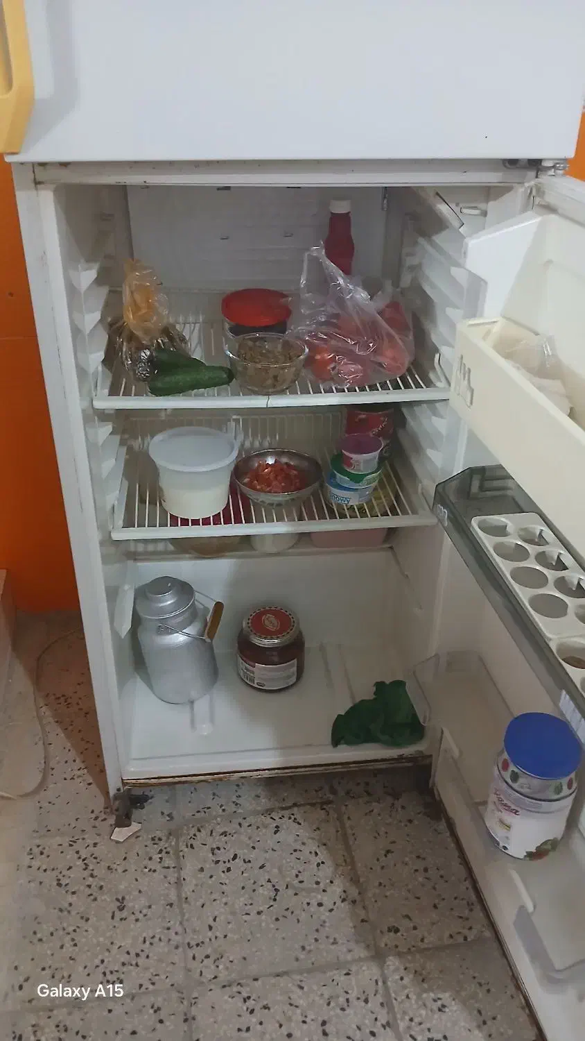 یخچال فیلبر|یخچال و فریزر|قم, نیروگاه|دیوار