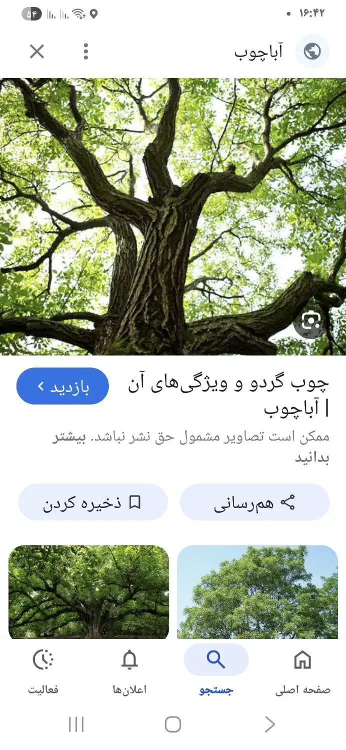 چوب گردو|گل و گیاه طبیعی|سوری, |دیوار