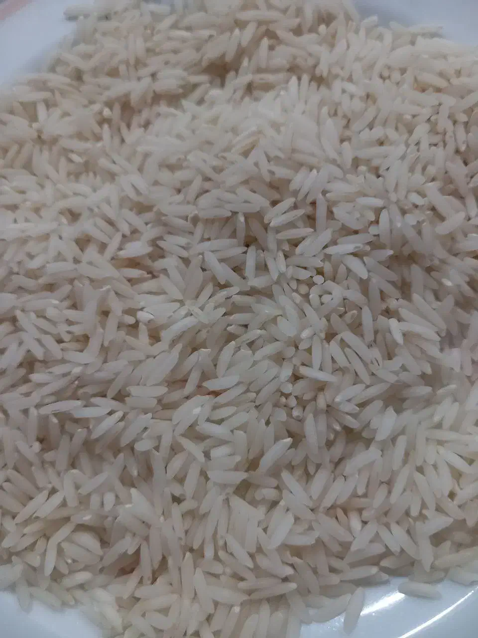 برنج هاشمی درجه یک سورتینک زده از دست خود کشاورز|خوردنی و آشامیدنی|کلاچای, |دیوار