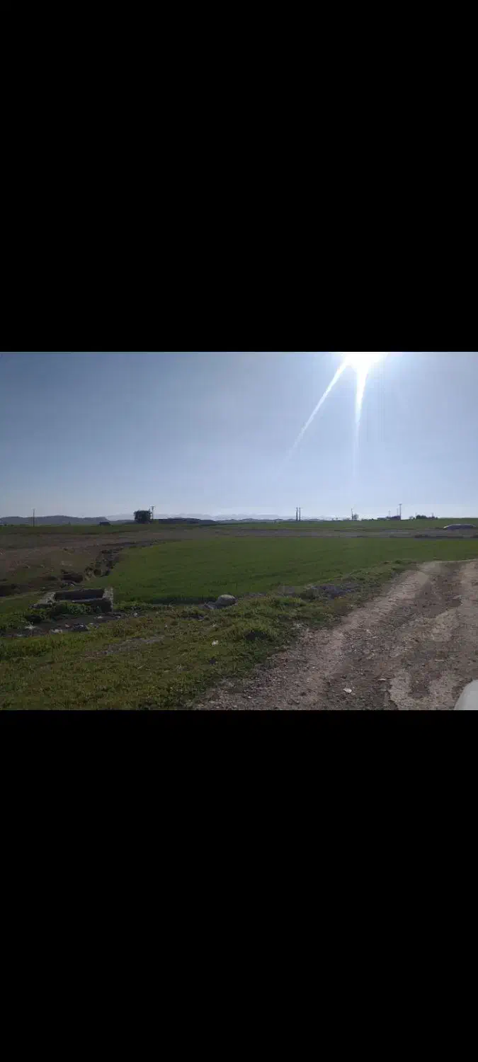 اجاره زمین دیم 3هکتاری|اجارهٔ دفتر صنعتی، کشاورزی، تجاری|دهدشت, |دیوار